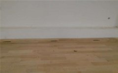 青海籃球木地板價(jià)格是多少-籃球木地板